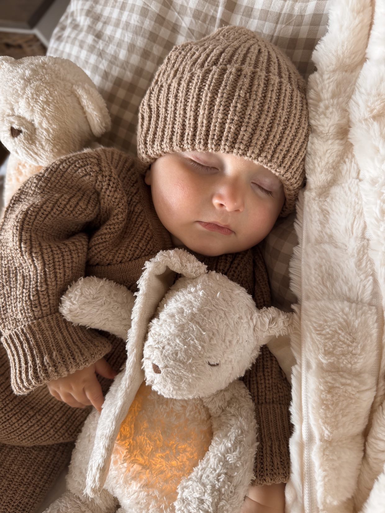 Muts Jax | Teddy Brown