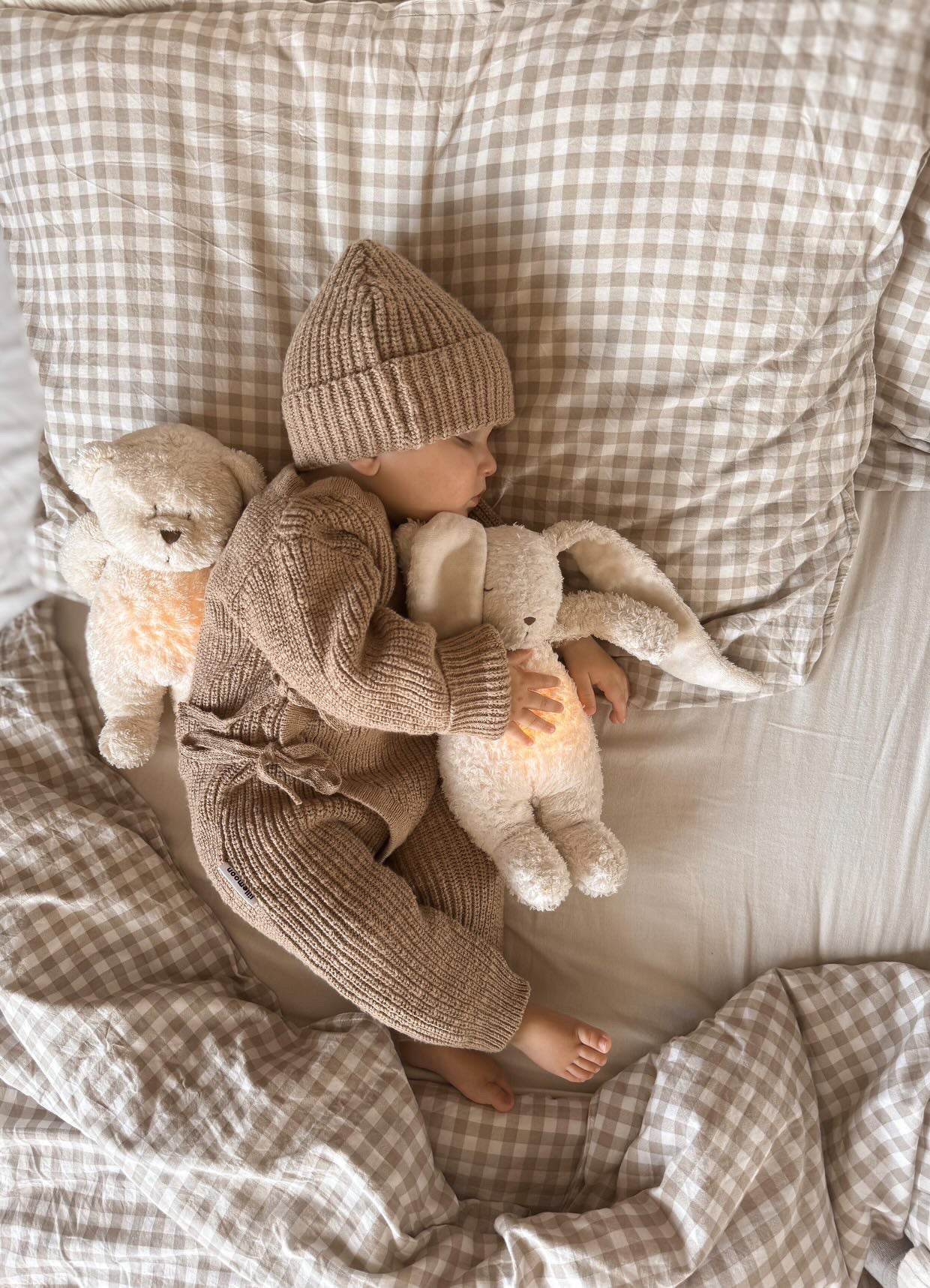 Muts Jax | Teddy Brown